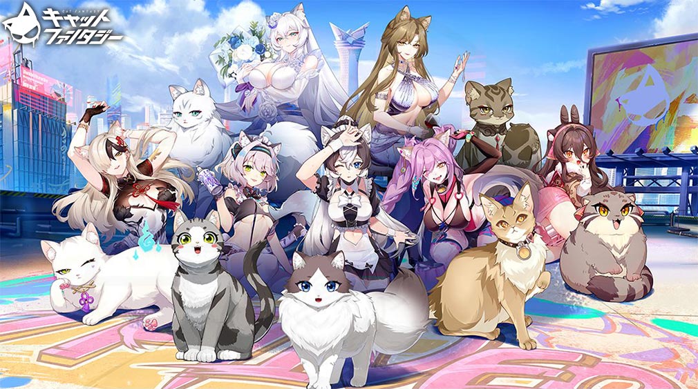 キャットファンタジー